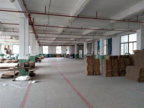 西乡房屋改造装修前，房屋建筑质量检测报告应由何单位出具？工业设计服务需注意哪些要点？